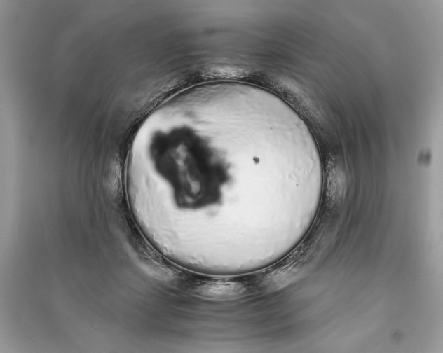 X0000090860459200708101223