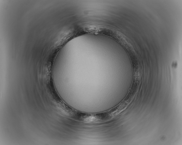 X0000090860460200708101223