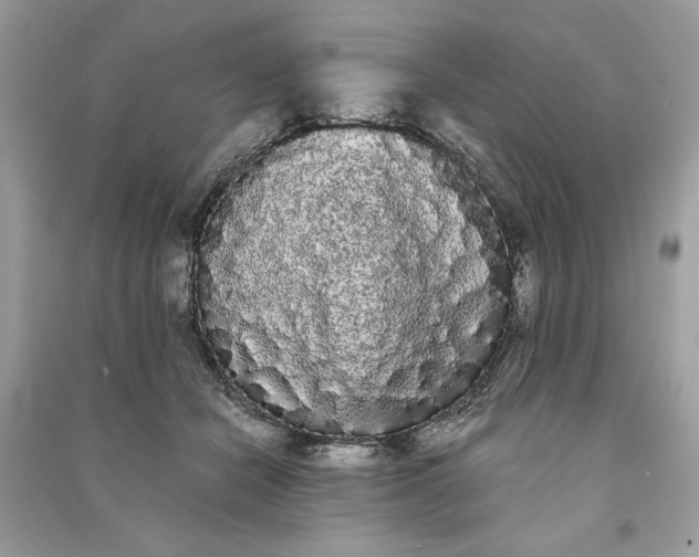 X0000090860462200708101223