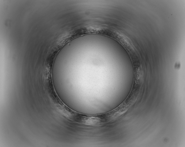 X0000090860463200708101223