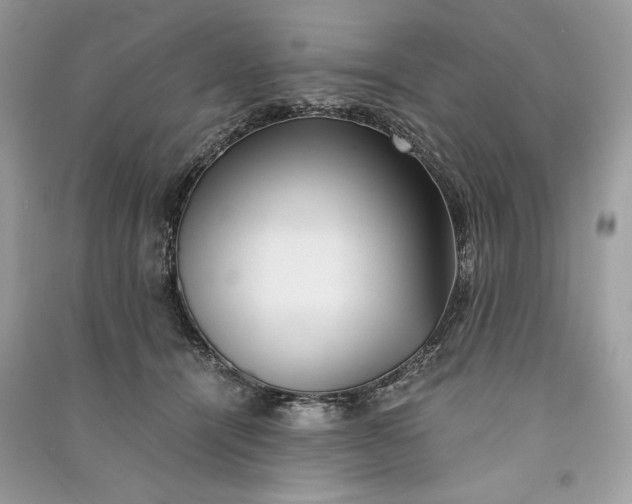 X0000090860464200708101223