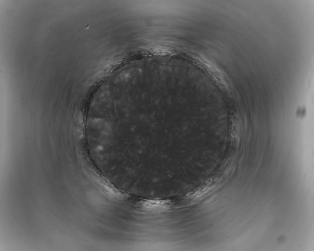 X0000090860465200708101223