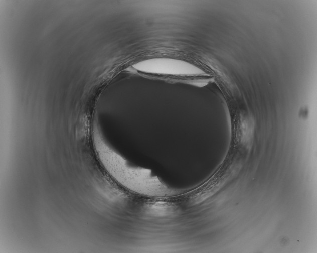 X0000090860467200708101223