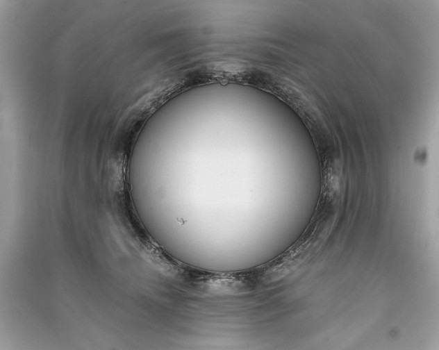 X0000090860468200708101223