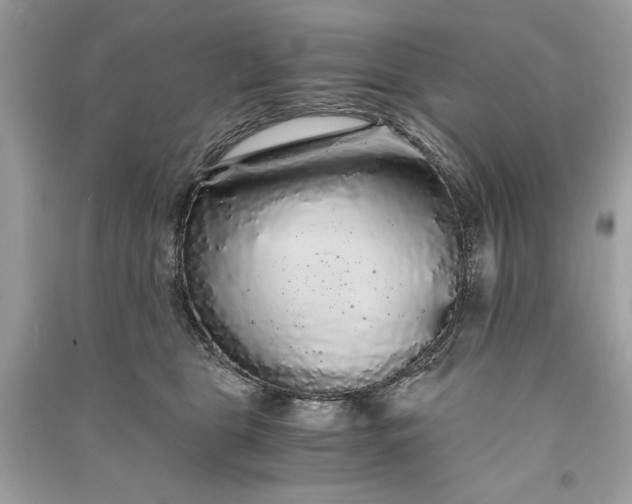 X0000090860469200708101223