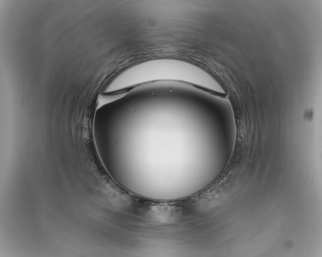 X0000090860470200708101223