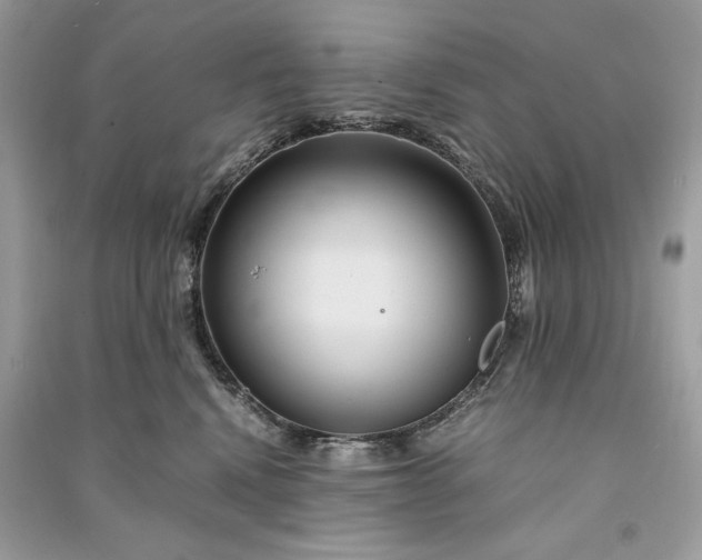 X0000090860472200708101223