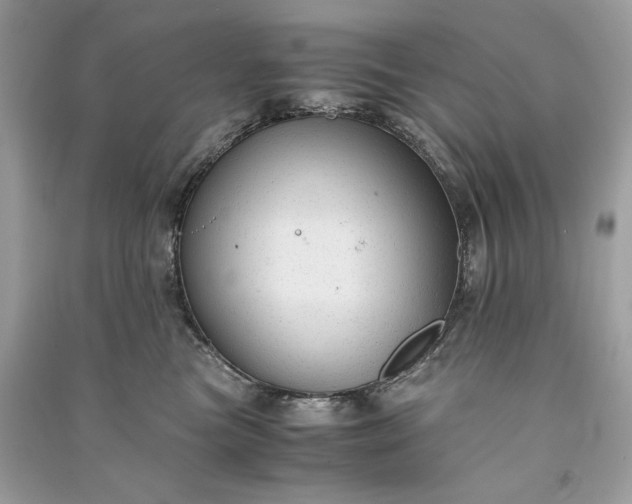 X0000090860473200708101223