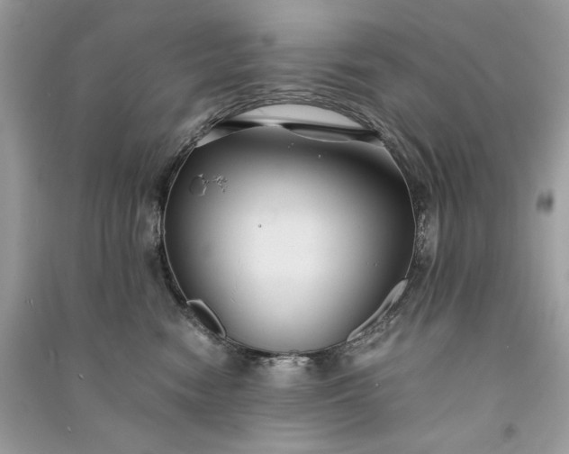 X0000090860474200708101223