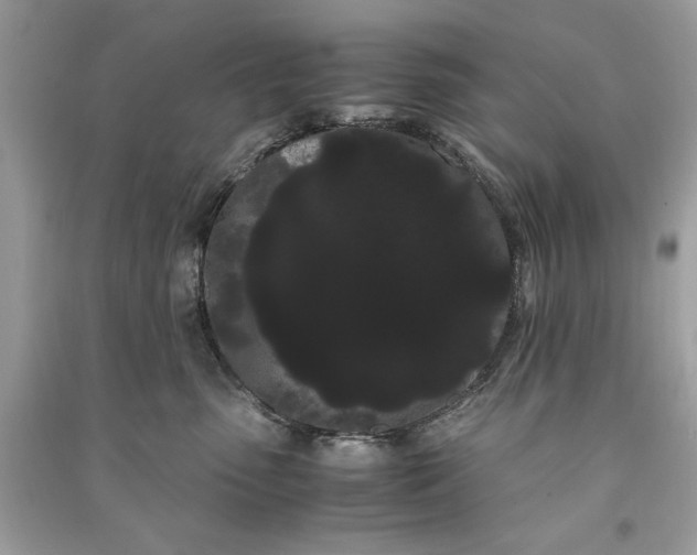 X0000090860475200708101223