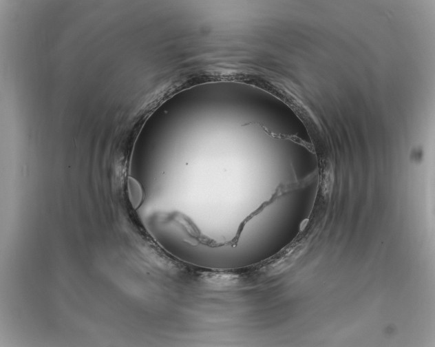 X0000090860476200708101223