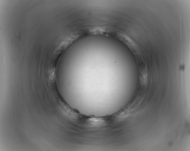 X0000090860477200708101223