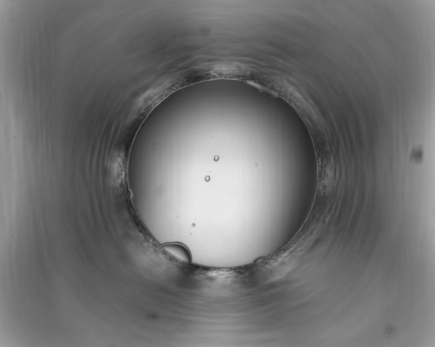 X0000090860478200708101223