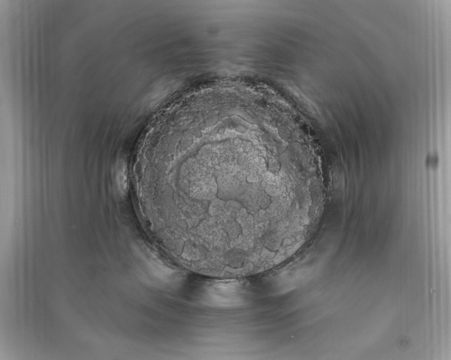 X0000090860479200708101223