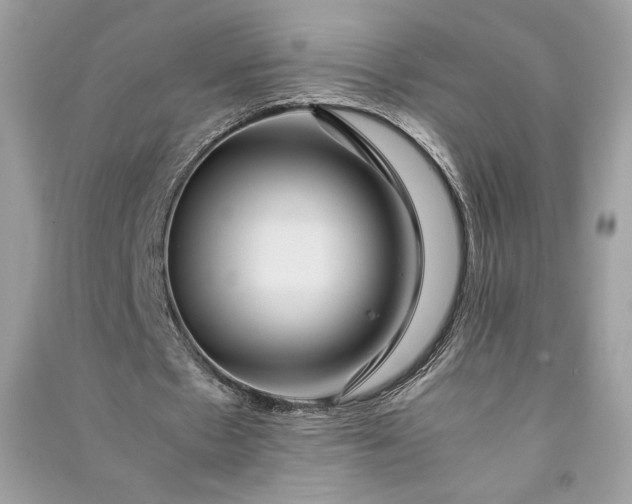 X0000090860481200708101222