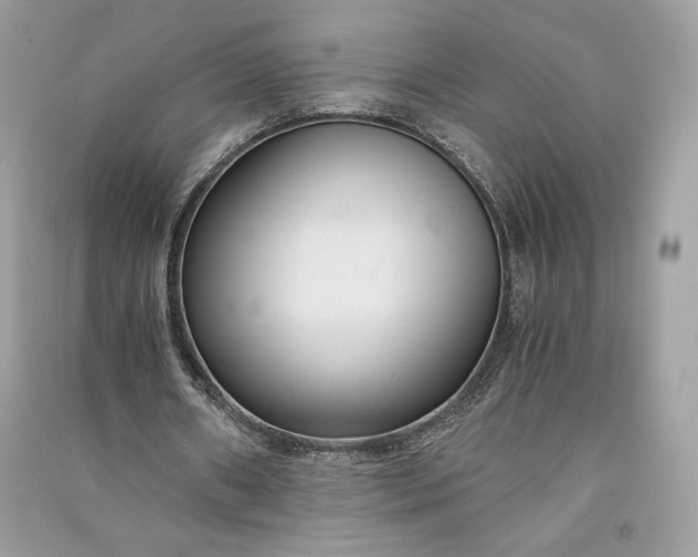 X0000090860482200708101222