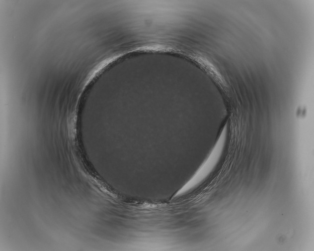 X0000090860484200708101222