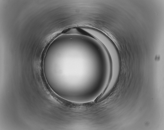 X0000090860485200708101222