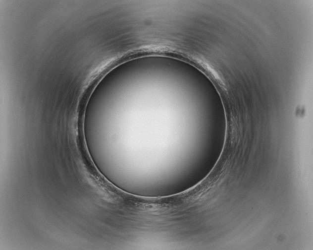 X0000090860486200708101222