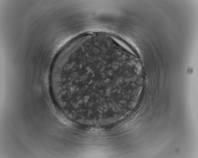 X0000090860487200708101222