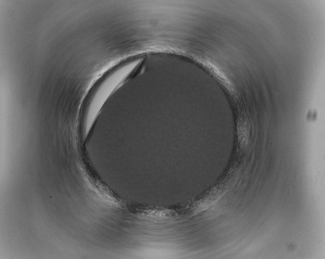 X0000090860488200708101222