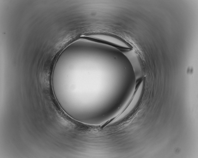 X0000090860489200708101222