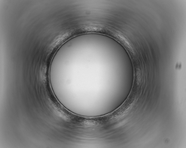 X0000090860490200708101222