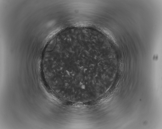 X0000090860491200708101222