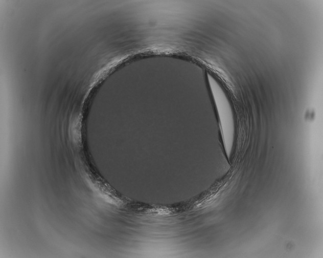 X0000090860492200708101222