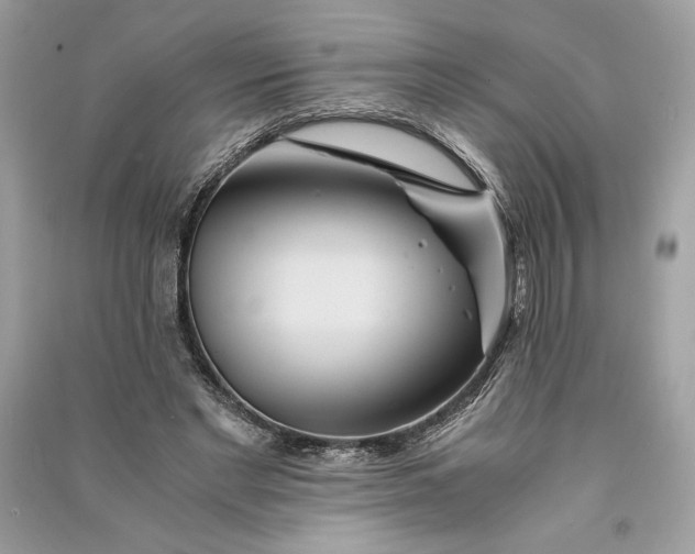 X0000090860493200708101222