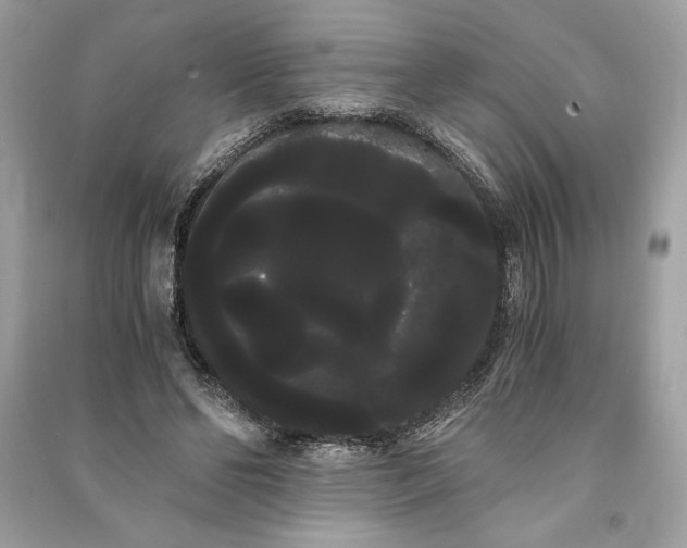 X0000090860494200708101222