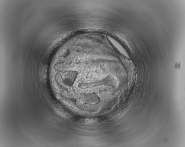 X0000090860495200708101222