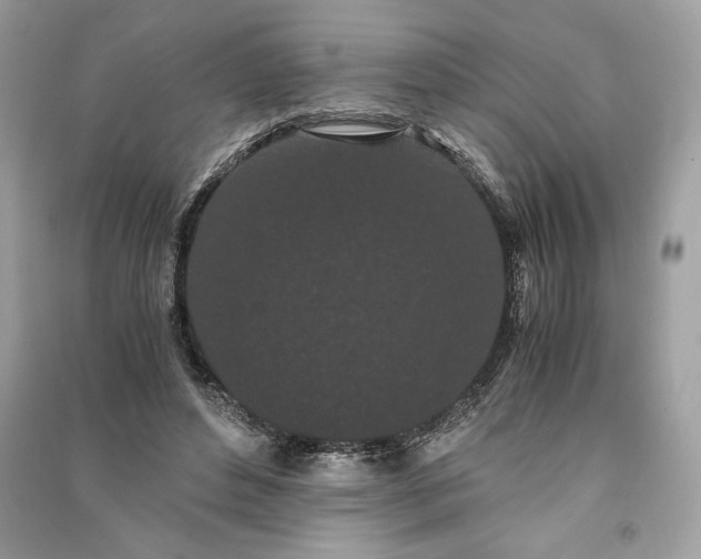 X0000090860496200708101222