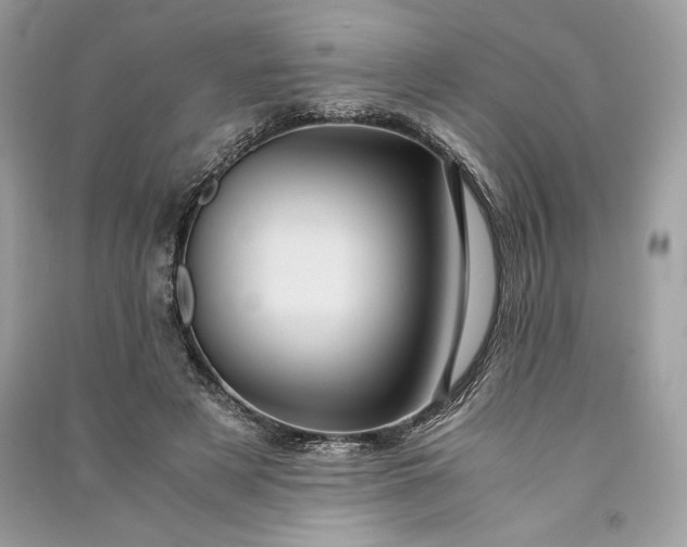 X0000090860497200708101222