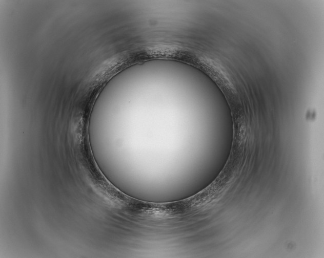 X0000090860498200708101222