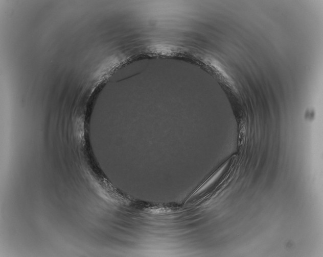 X0000090860500200708101222