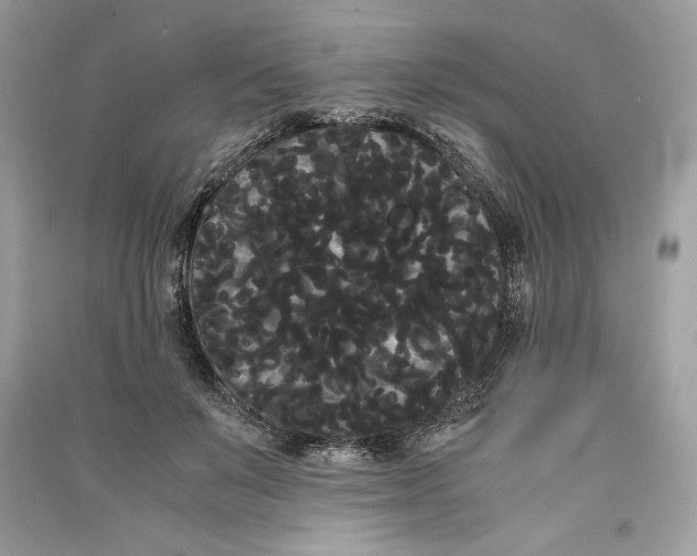 X0000090860503200708101222