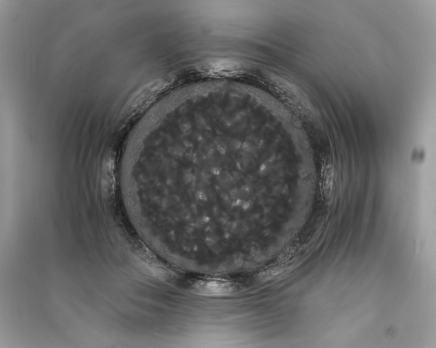 X0000090860506200708101222