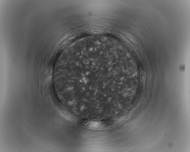 X0000090860507200708101222