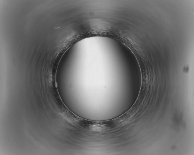 X0000090860508200708101222