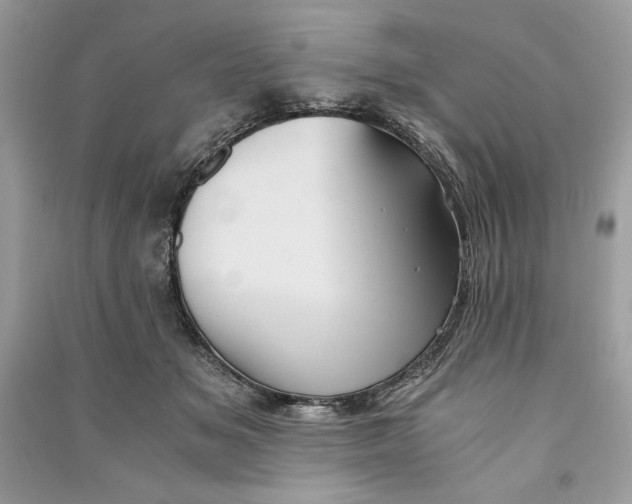 X0000090860509200708101222