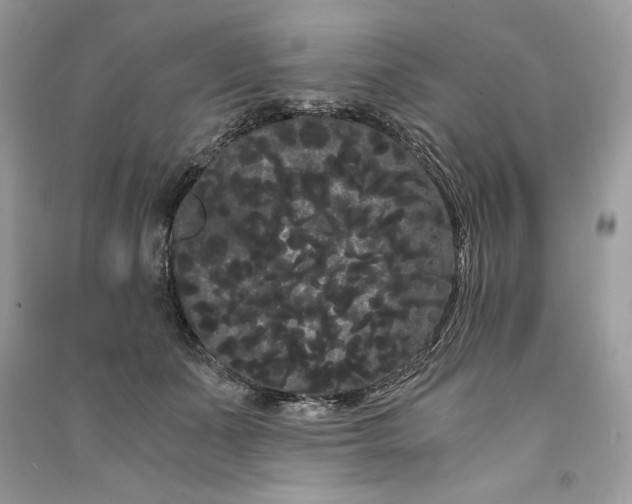 X0000090860511200708101222