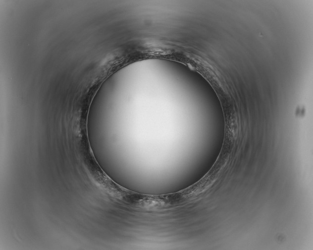 X0000090860512200708101222