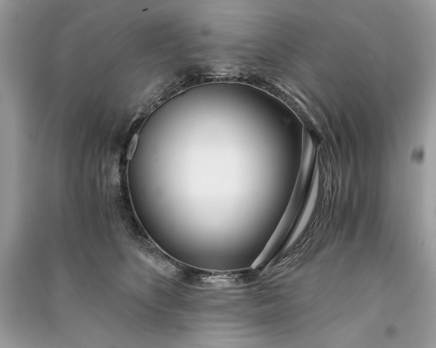 X0000090860516200708101222