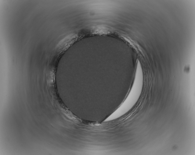 X0000090860517200708101222