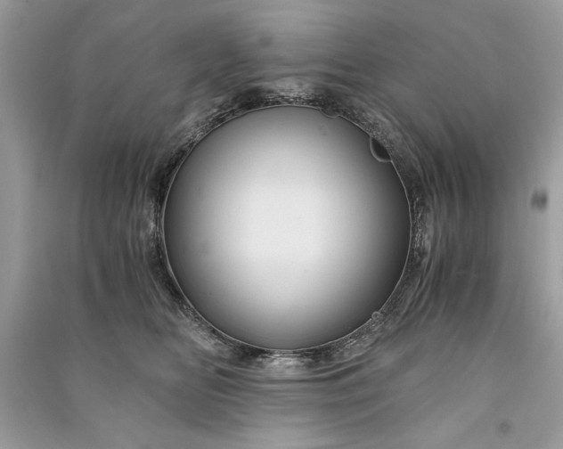 X0000090860518200708101222