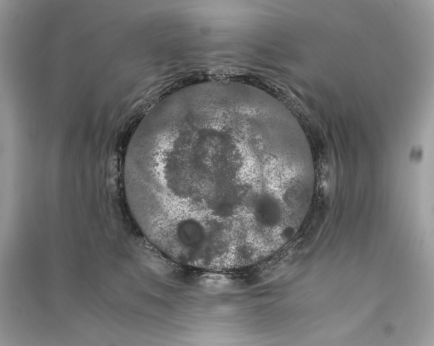 X0000090860519200708101222