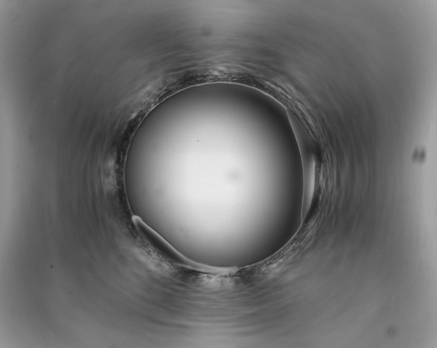 X0000090860520200708101222