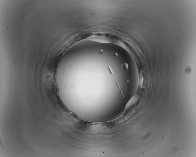 X0000090860521200708101222