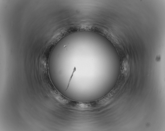 X0000090860522200708101222